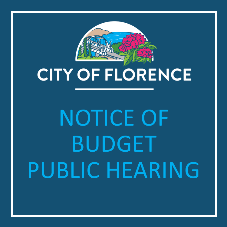 Notice of Budget Hearing
