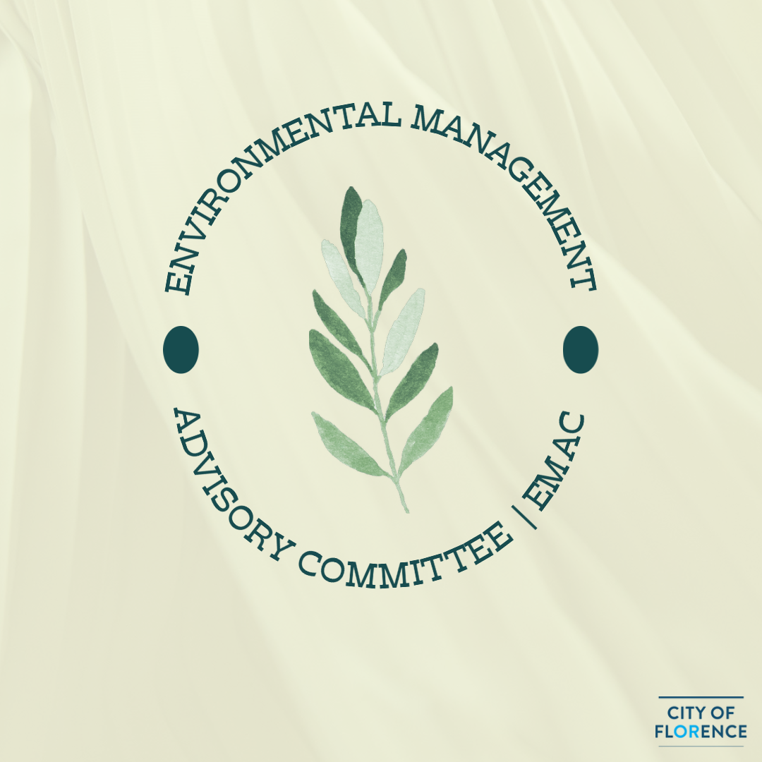 EMAC Logo