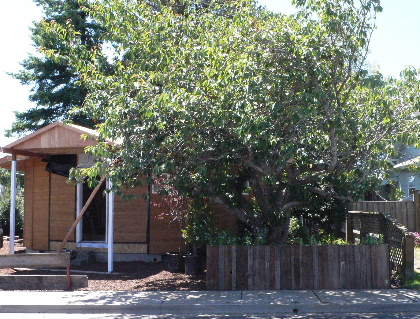 Mills & Butler Round House