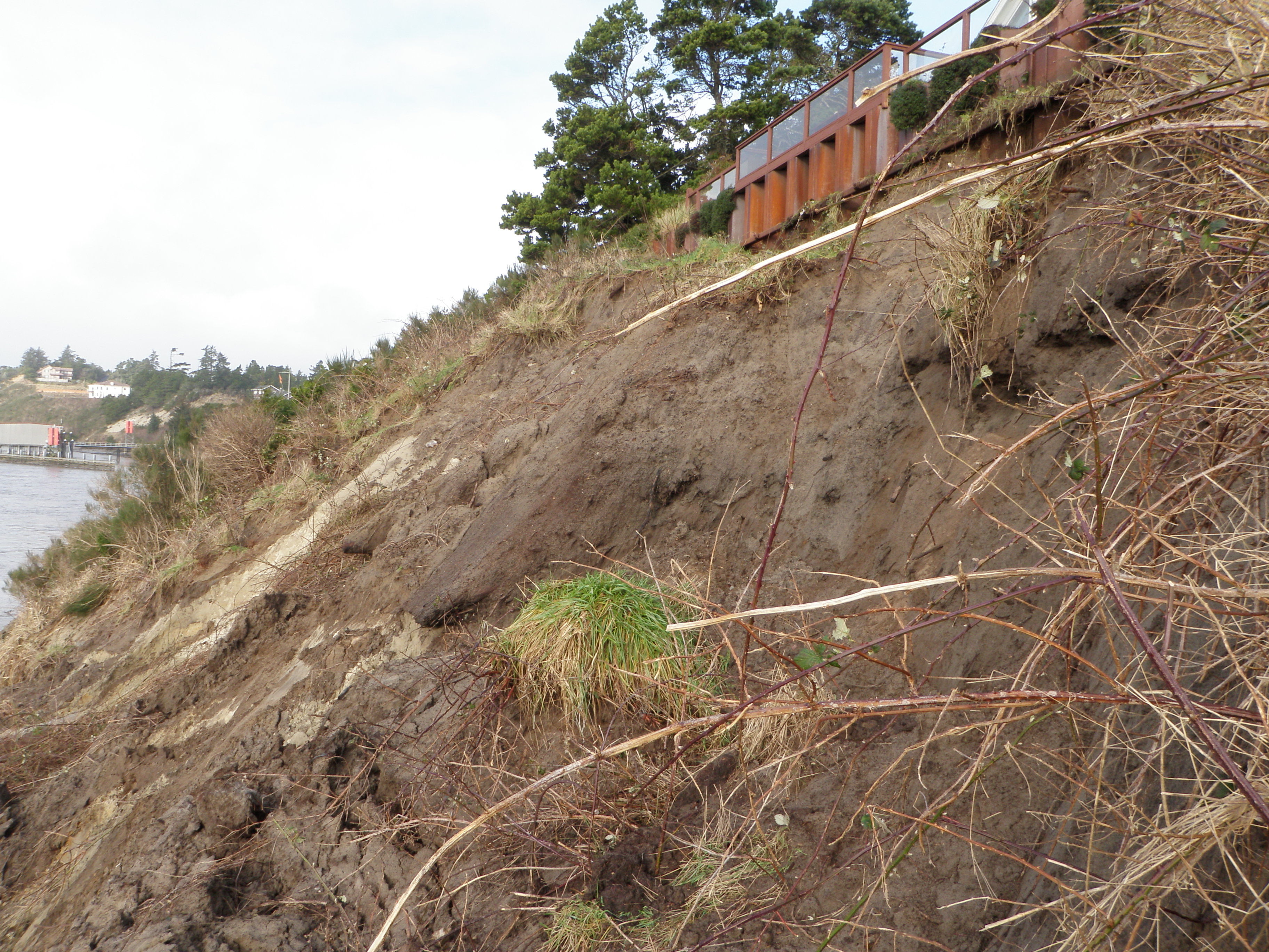 Lot 16 Bank Failure Looking North