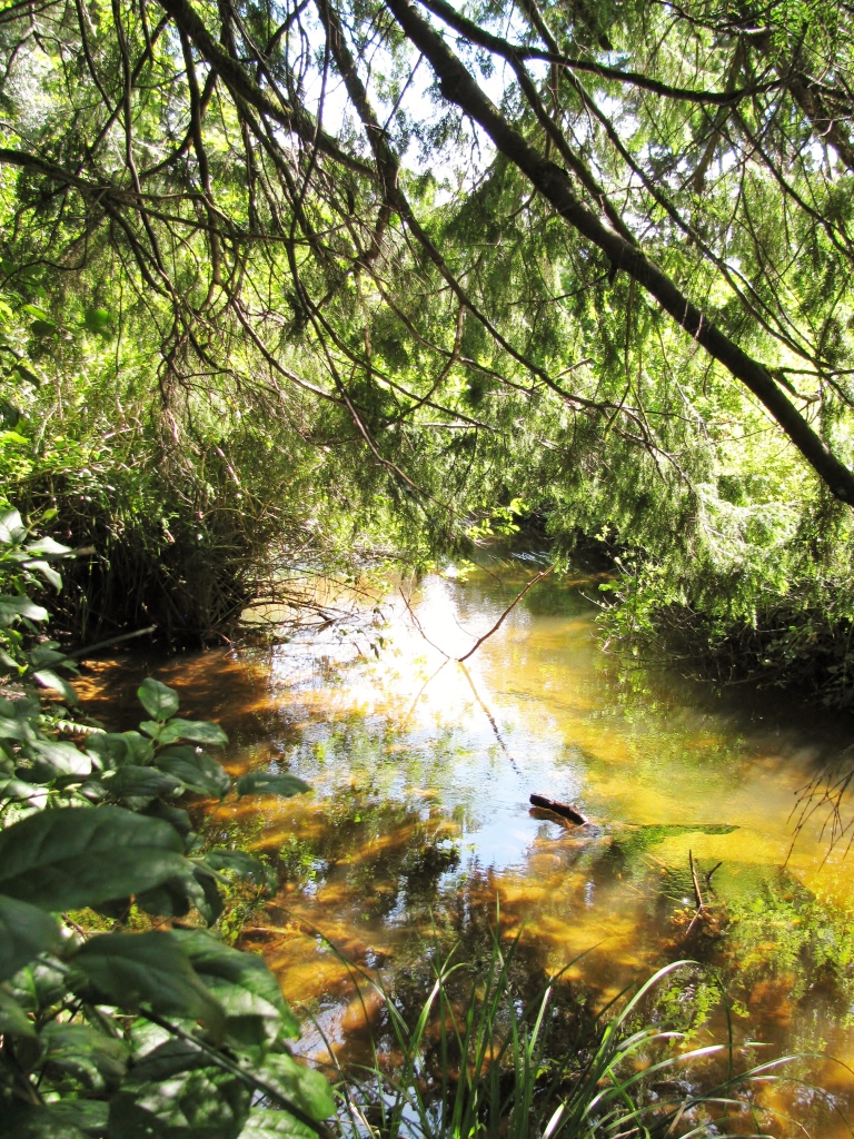 Gallagher's Park - Munsel Creek