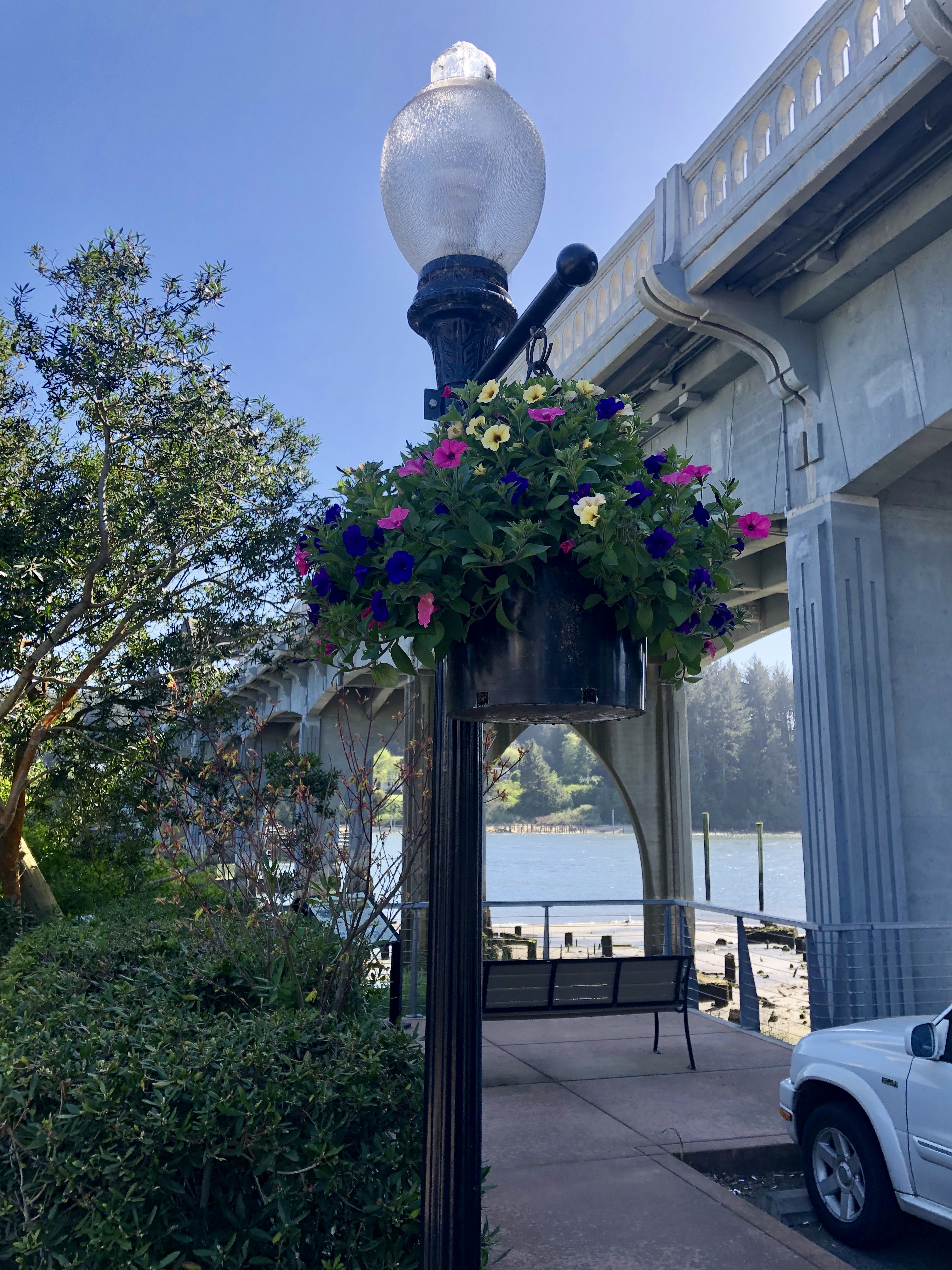 Old Town Flower Basket and Siuslaw Bridge