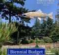 Budget Cover