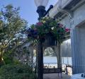 Old Town Flower Basket and Siuslaw Bridge