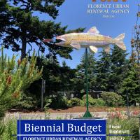 Budget Cover