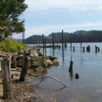 City of Florence Oregon Official Website