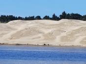 Siuslaw River Dunes