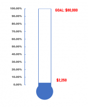 Donation Progress