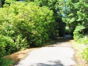 Munsel Creek Bike Path
