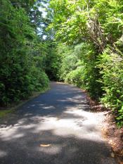 Munsel Creek Bike Path