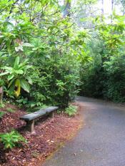 Munsel Creek Bike Path