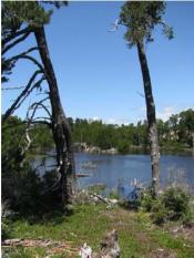 Munsel Greenway Park