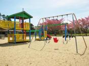 Miller Park Playground