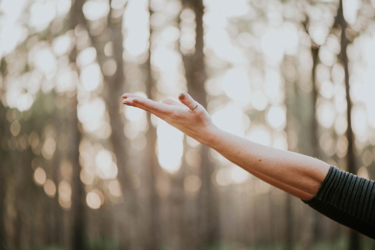 Tilt shift lens photography of person lifting hand photo